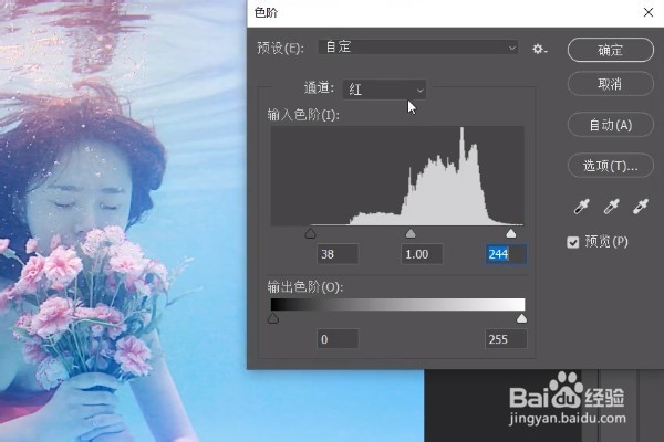 PS如何使用色阶功能？