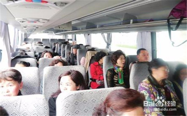 旅游巴士导游如何主持