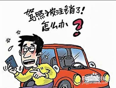 机动车驾驶证新规可自学