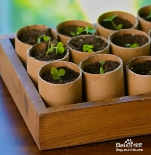 硬纸圈的回收利用技巧