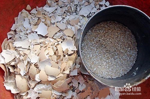 可以用什么替代肥料为花施肥