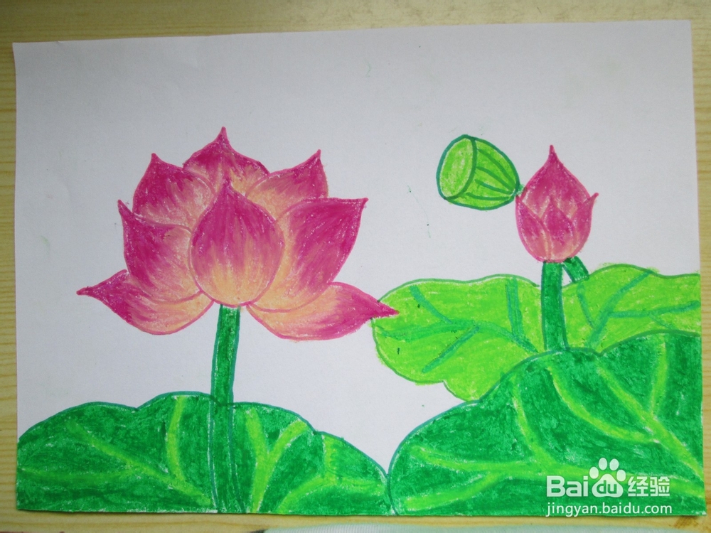 我们来学油画棒：[6]荷花