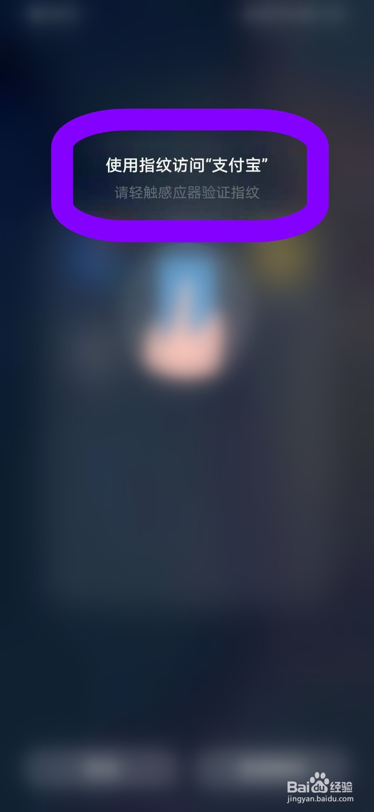 如何在支付宝上查看我的芝麻分