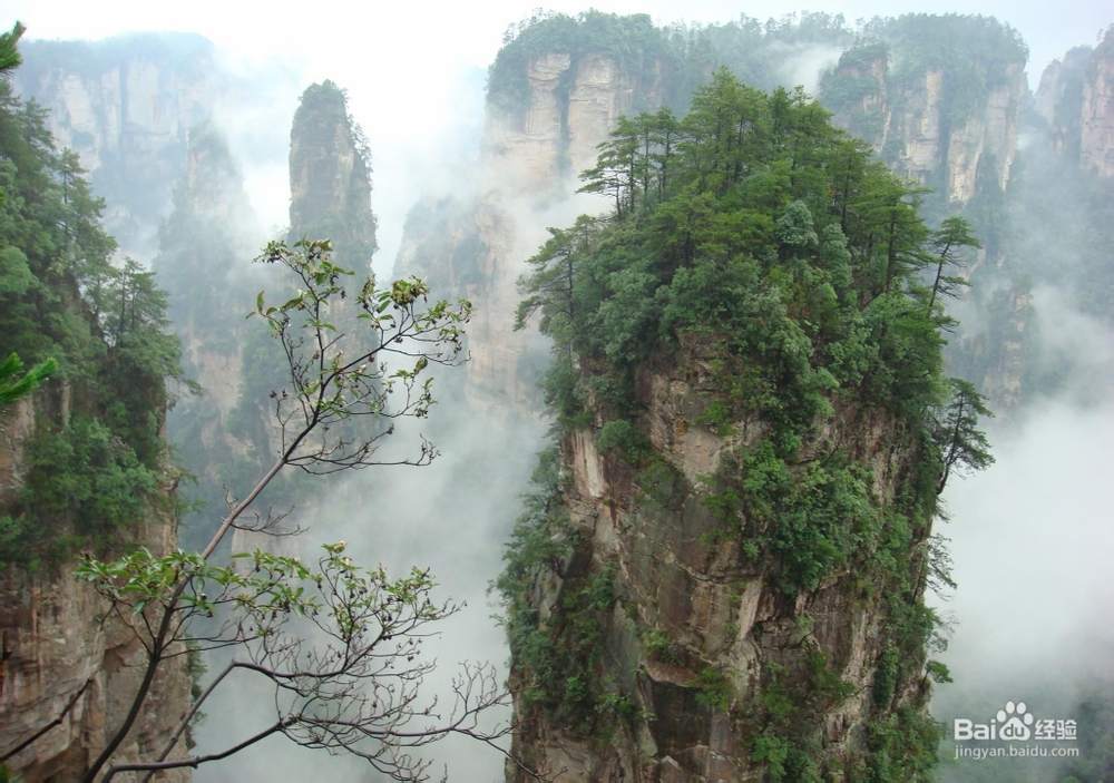 学生张家界自助游线路