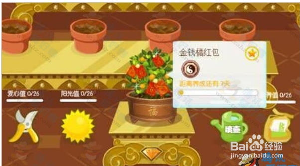 近期会员反映 QQ空间花藤养成过程中枯萎的原因