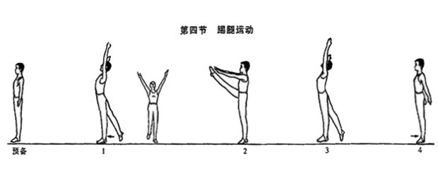 第五套广播体操步骤