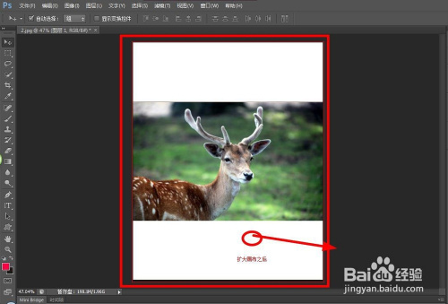 使用ps合并图片的步骤 拼图方法