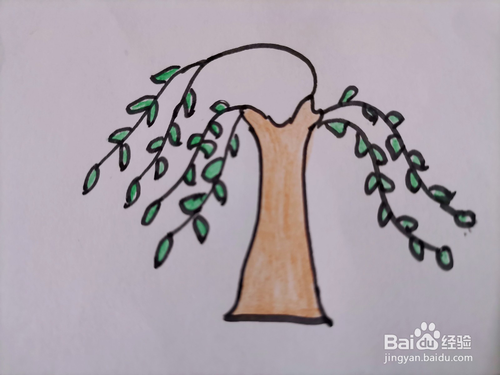 儿童简笔画 一棵柳树