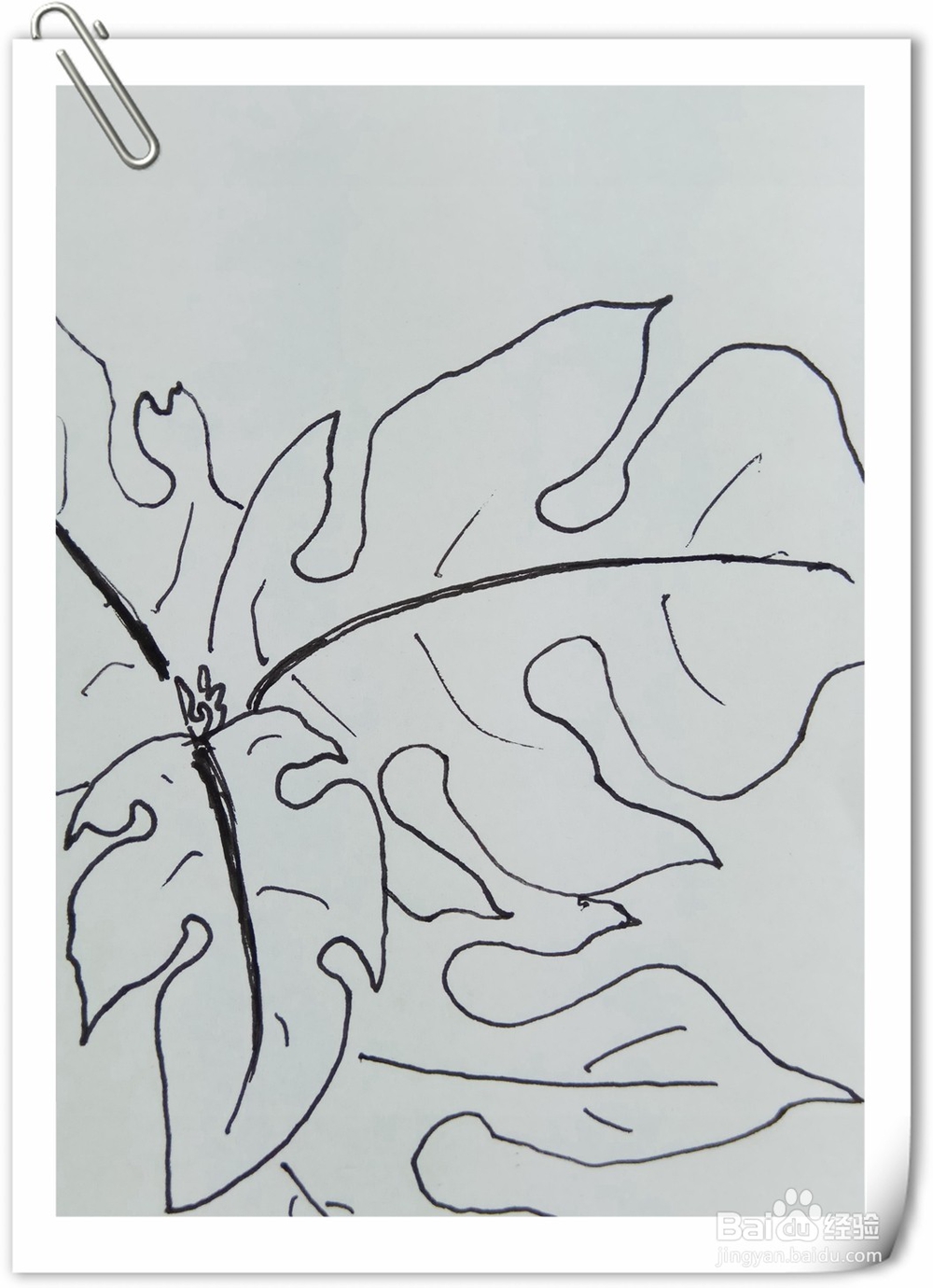 怎样画钢笔画构树叶子？