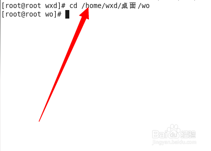 Linux系统七中常见命令
