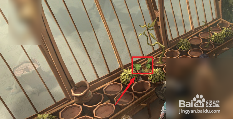 哈利波特魔法觉醒赫奇帕奇学院院长位置攻略