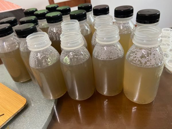 夏季海底椰雪梨冻