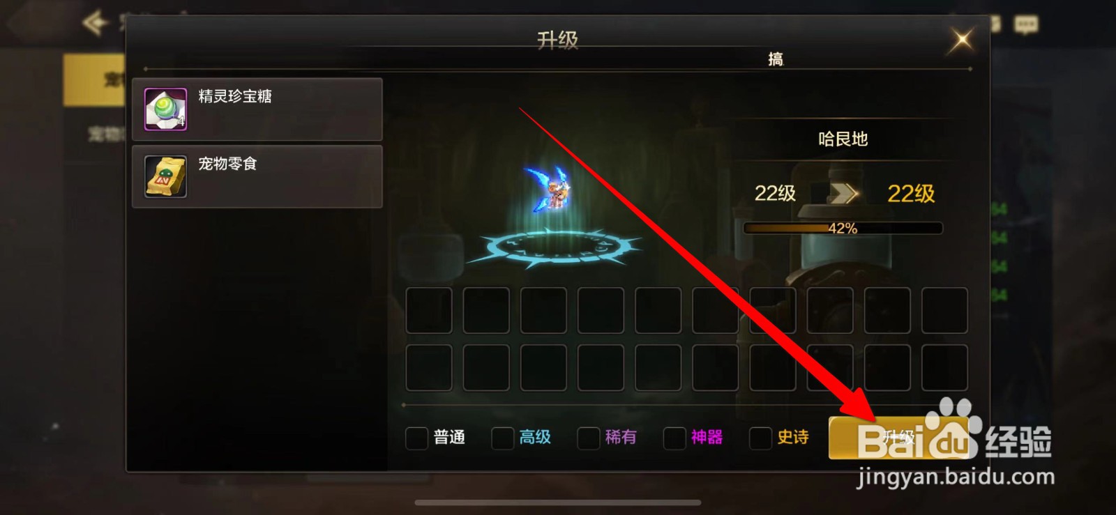 DNF手游宠物升级攻略