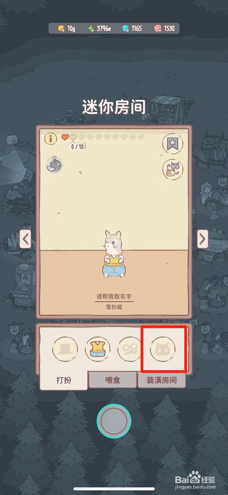 猫咪和汤如何给猫咪戴刺猬