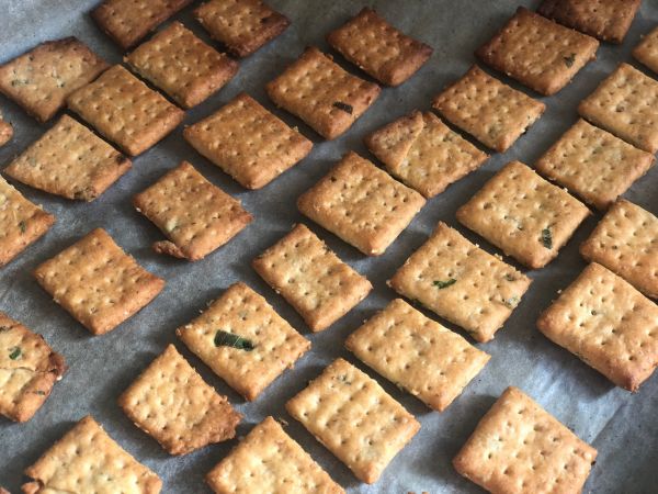 无糖葱香小饼干