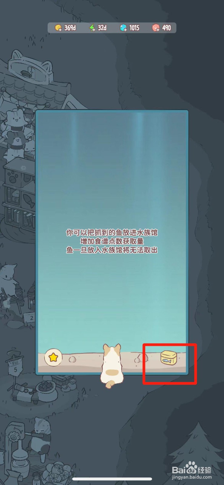 猫咪和汤如何把鱼放进水族馆
