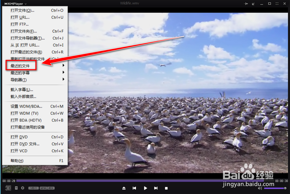 Kmplayer如何清除播放记录