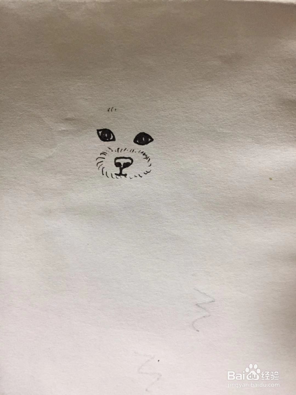 插画教程之圣诞泰迪狗