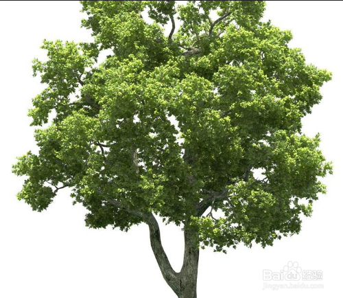 PS怎样换图像的白色背景