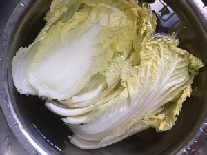 健康养生佳品一颗白菜汤