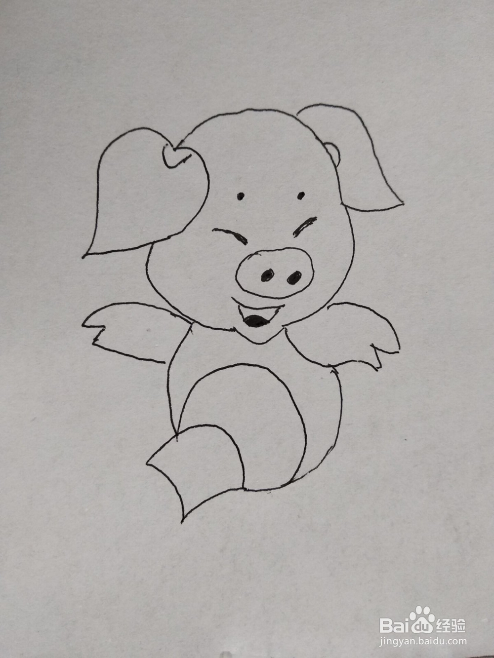 猪年开心小猪简笔画方法