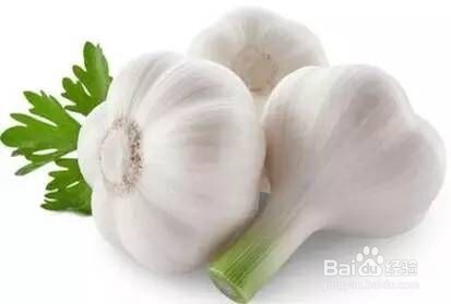 健康食物的了解