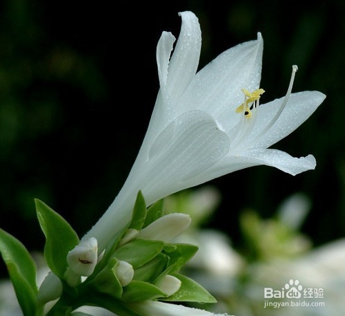 如何追求自己喜欢的女生?最实用的技巧