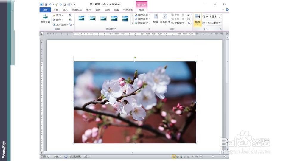 在word如何快速将照片处理为唱片形？