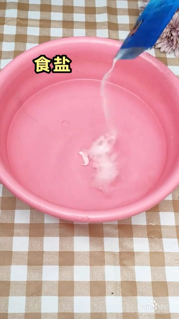 如何清洗脏的白衣服