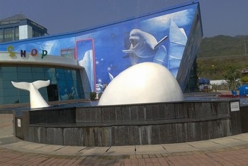 小梅沙海洋世界深圳旅游攻略
