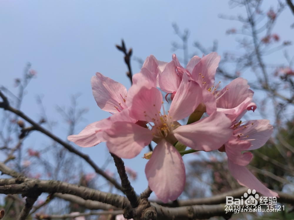 厦门岛公交穷游海沧大屏山郊野公园