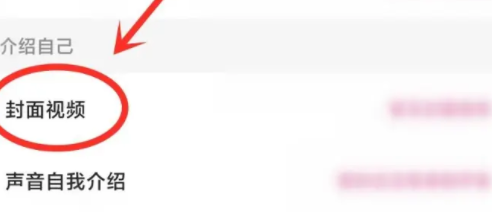 可可语聊如何设置主页背景视频