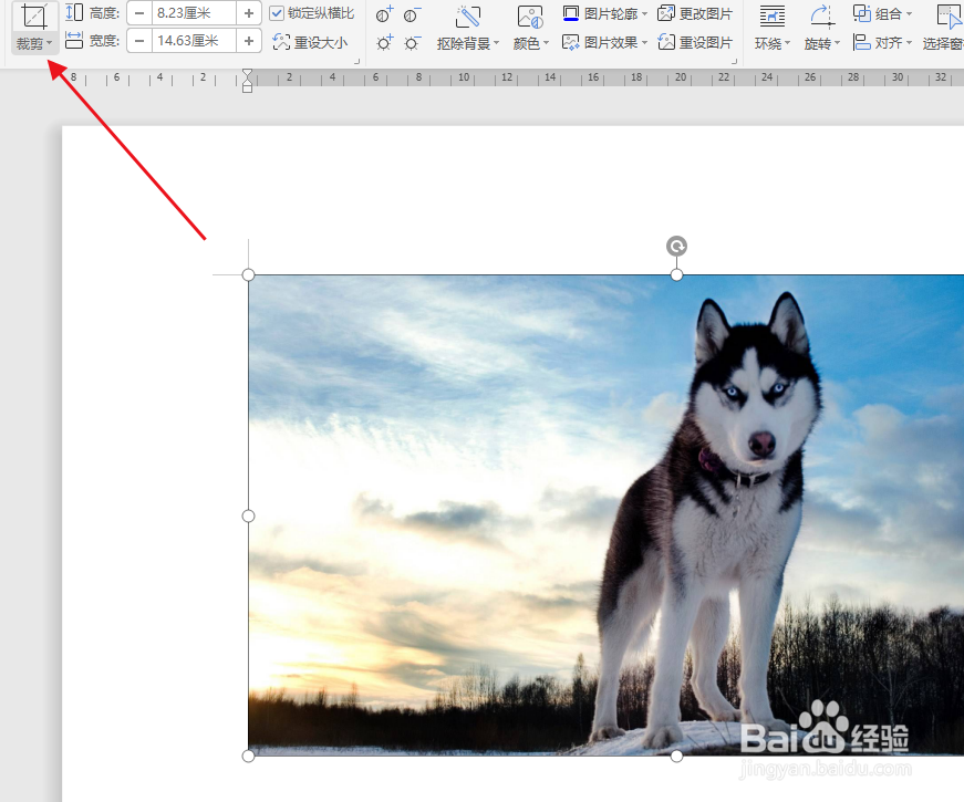word文档如何裁剪图片大小