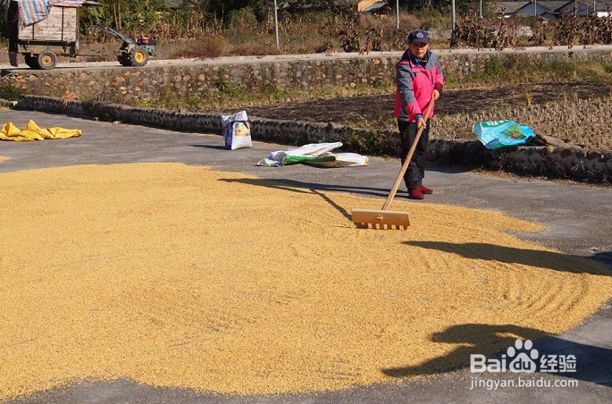 国庆过后，到长沙乡村怎样找农村人的乐子！！！