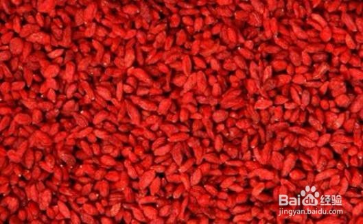 枸杞子的特殊功效滋补肝肾