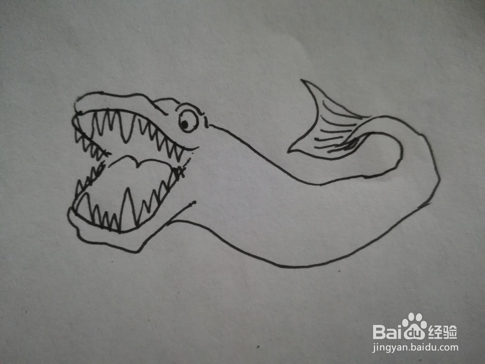 海洋怪兽简笔画
