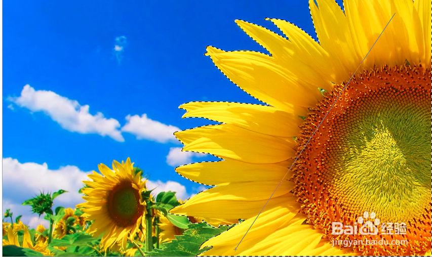 如何使用ps工具栏里面的工具