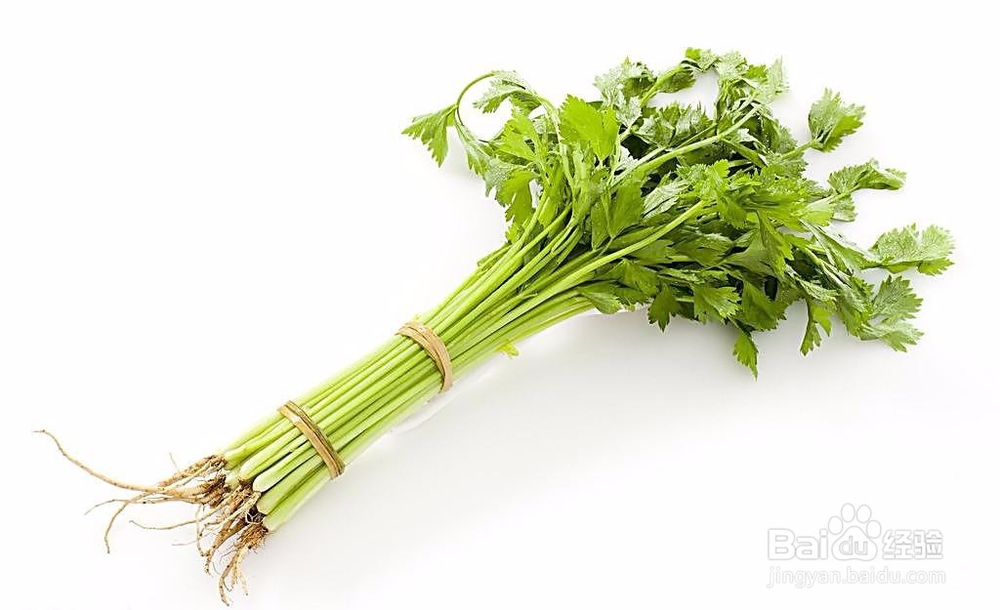 十种可当补品的日常食物