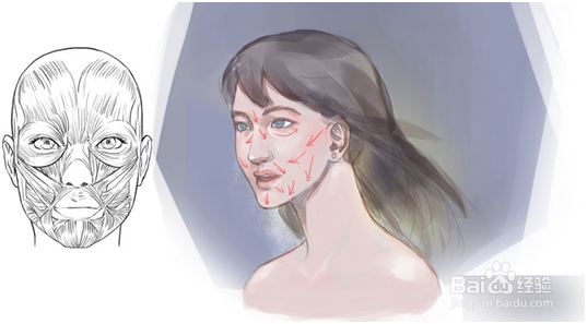 如何画好人脸?人脸绘制步骤