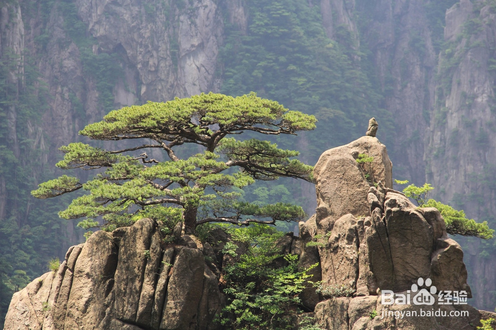 去黄山旅游,怎样选择景点呢