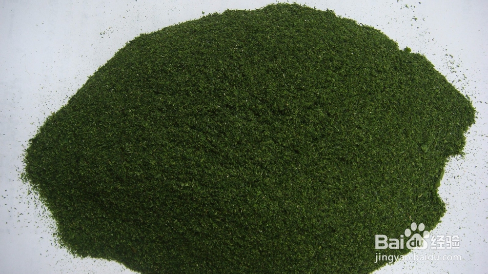 金毛吃什么食物可以美毛(狗狗美毛的方法)