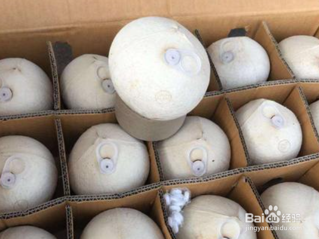 拉环椰子怎么打开