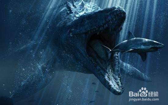 侏罗纪最强的海洋生物是哪些？强在哪？
