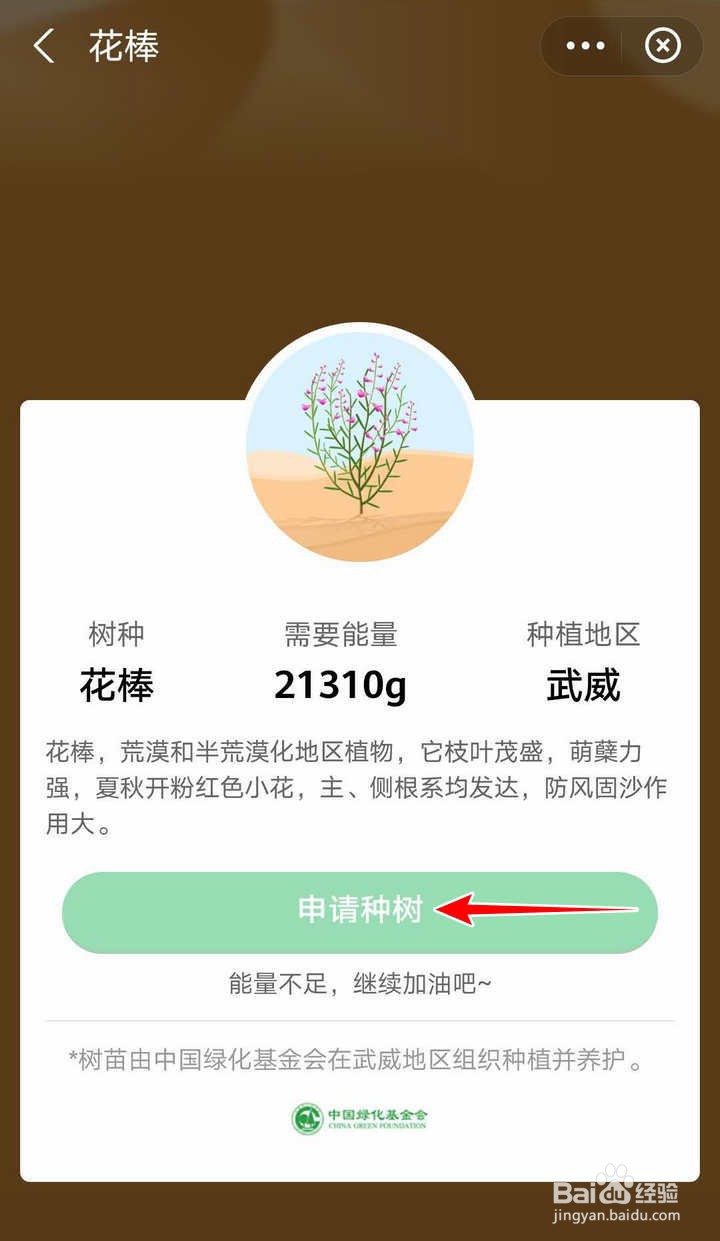 支付宝蚂蚁森林宠爱日秋日最美种树活动怎么参加