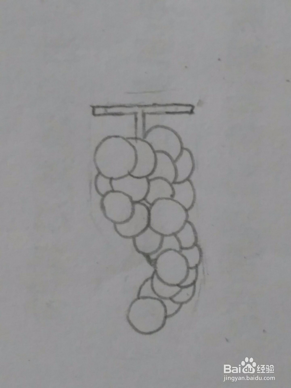 葡萄 简笔画 详细步骤教程