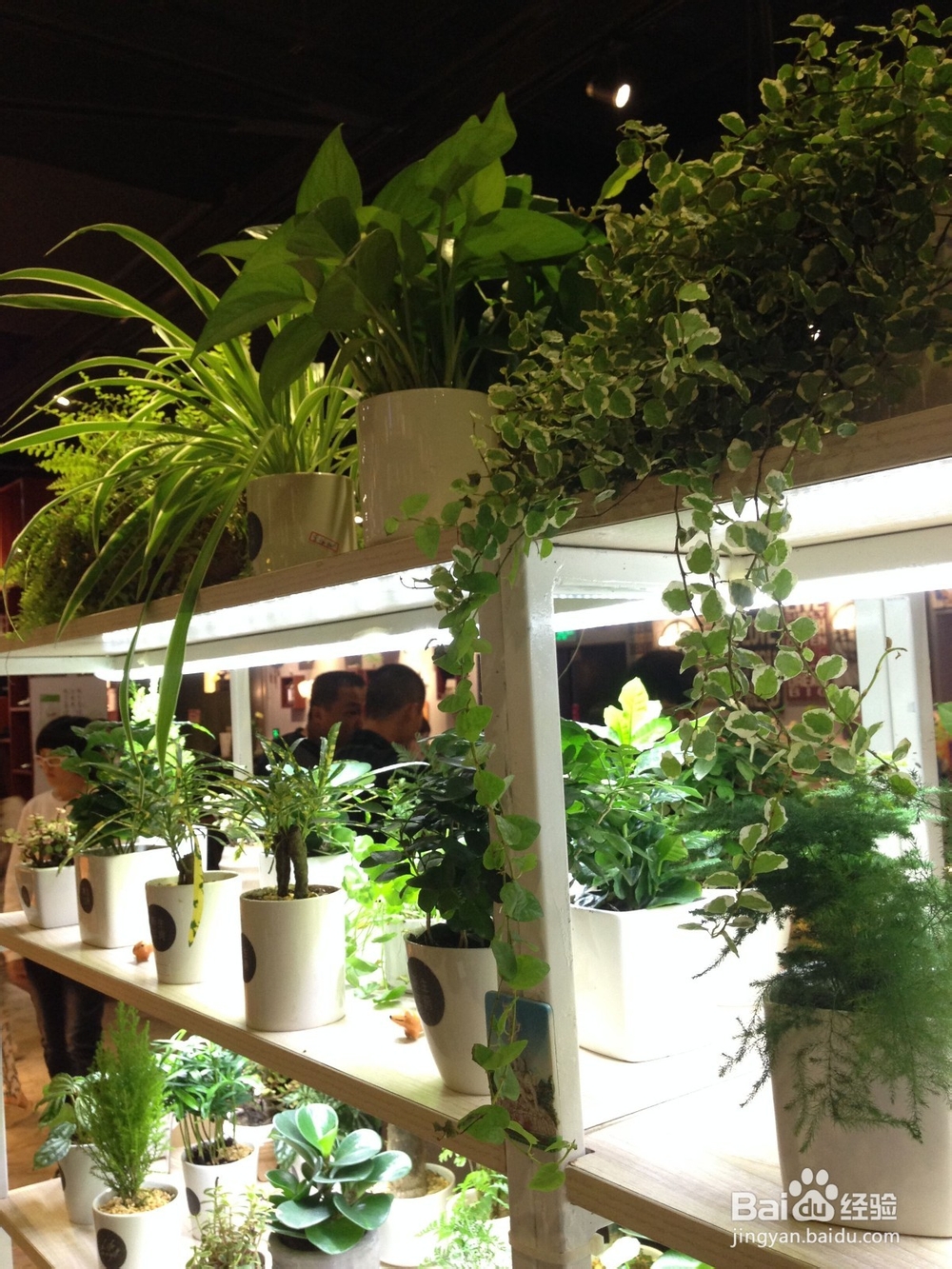 警惕敷面膜的六大误区！！