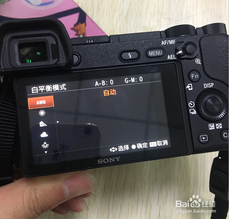 索尼6300如何拍人像