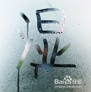 床垫上有小虫子有什么解决方法