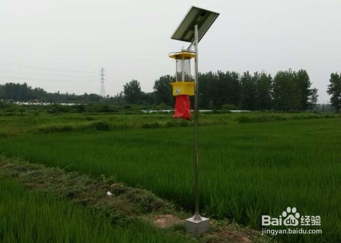 如何在现代农业中普及使用太阳能频振式杀虫灯?