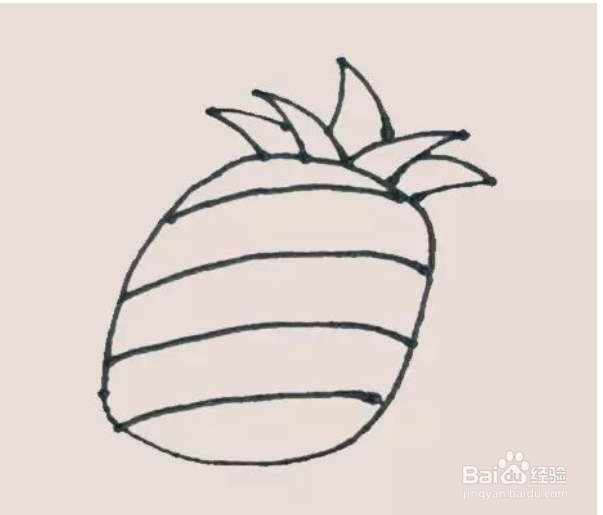 如何画简笔画菠萝？